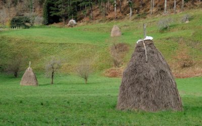 The Passion in the Haystack: Dealing with Discouragement